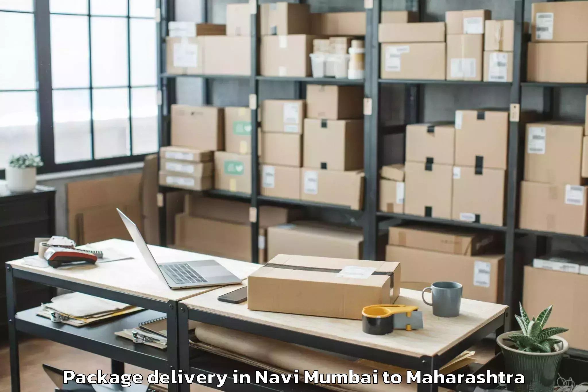 Trusted Navi Mumbai to Mehkar Package Delivery